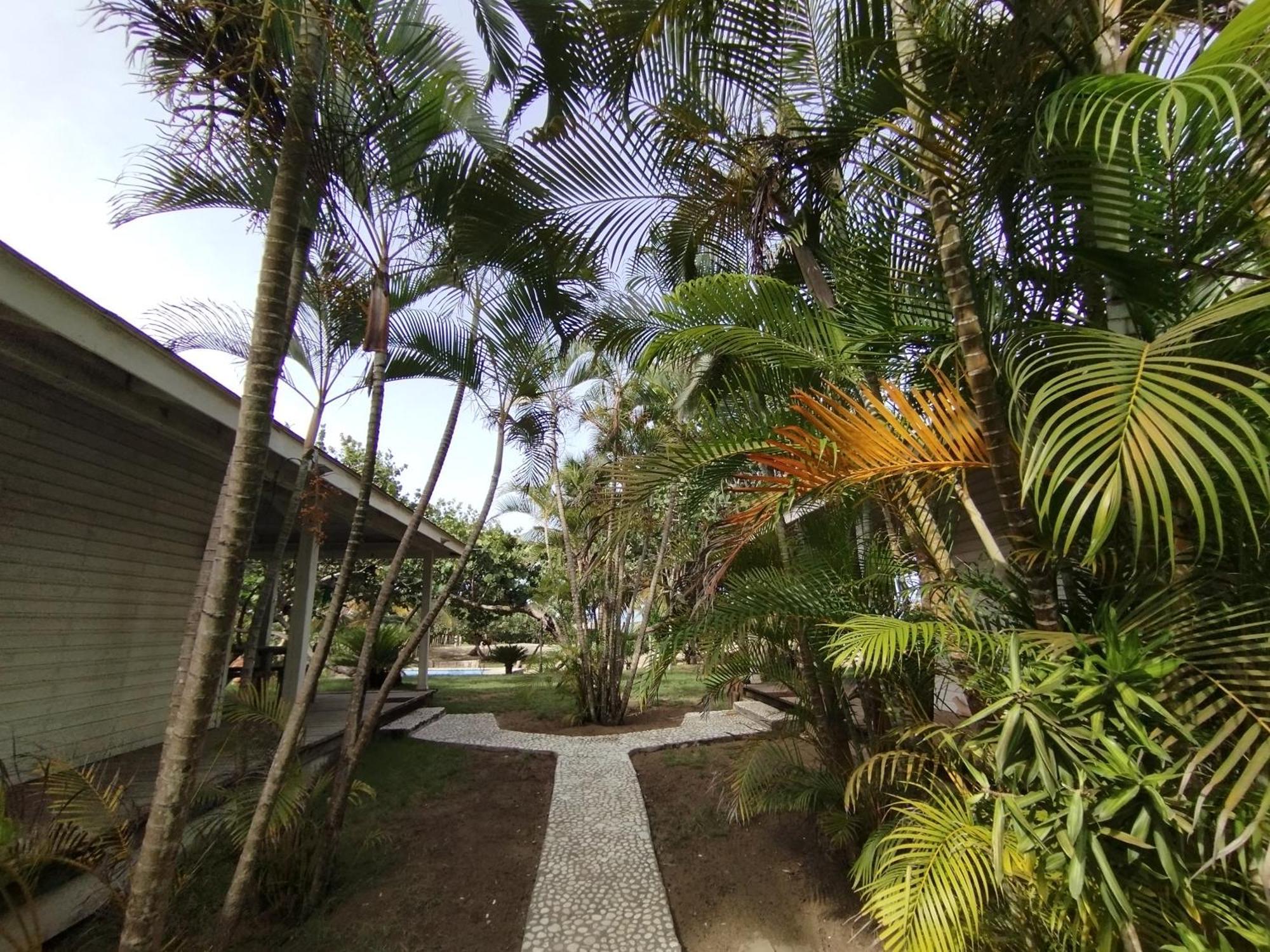 Villa Bianca - Beachfront With Pool Sosua Bagian luar foto