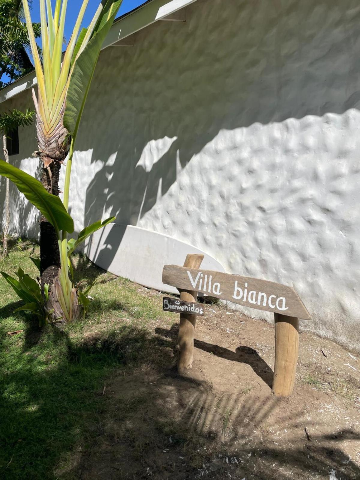 Villa Bianca - Beachfront With Pool Sosua Bagian luar foto
